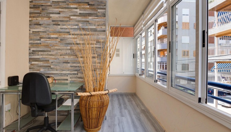 Reventa - Apartamento / piso - Torrevieja - Acequion