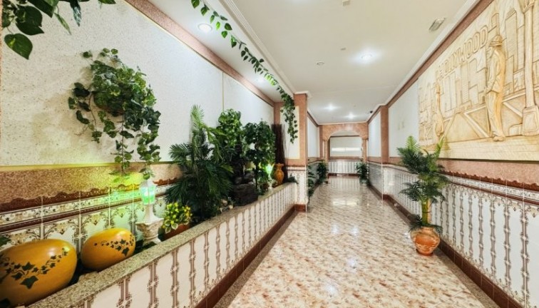 Reventa - Apartamento / piso - La Mata - LA MATA