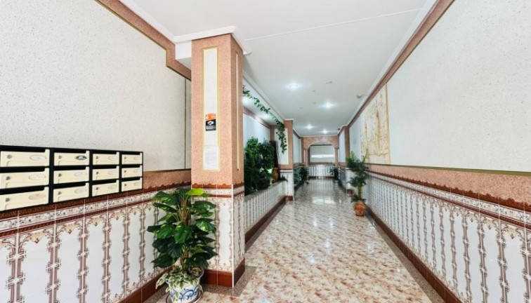 Reventa - Apartamento / piso - La Mata - LA MATA