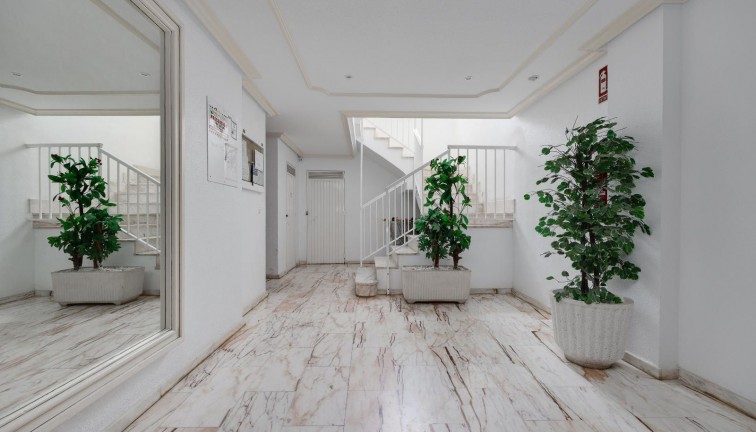 Återförsäljning - Lägenhet - Torrevieja - Playa de los Locos