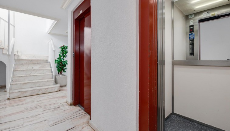 Återförsäljning - Lägenhet - Torrevieja - Playa de los Locos