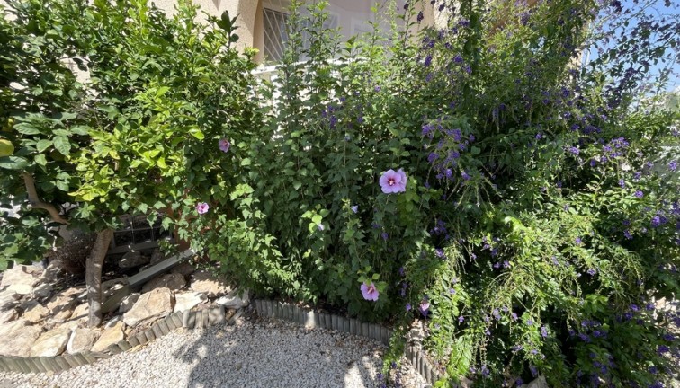 Resale - Chalet - Ciudad quesada - Ciudad Quesada