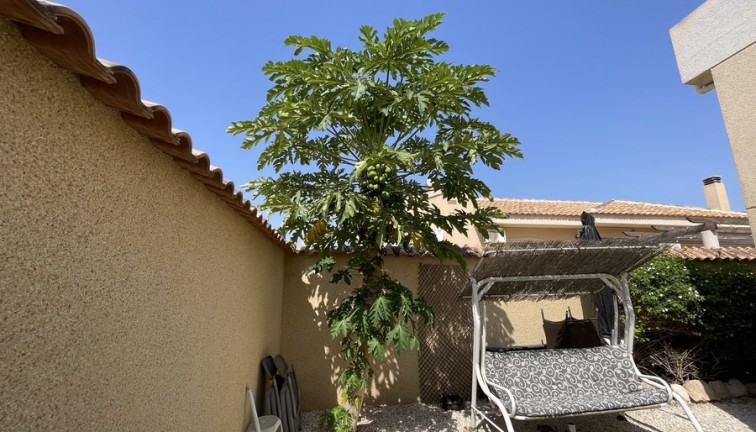Resale - Chalet - Ciudad quesada - Ciudad Quesada