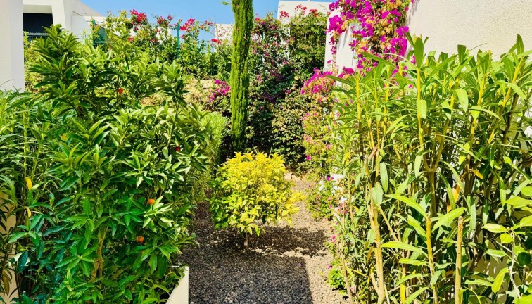 Resale - Chalet - Algorfa - La Finca Golf