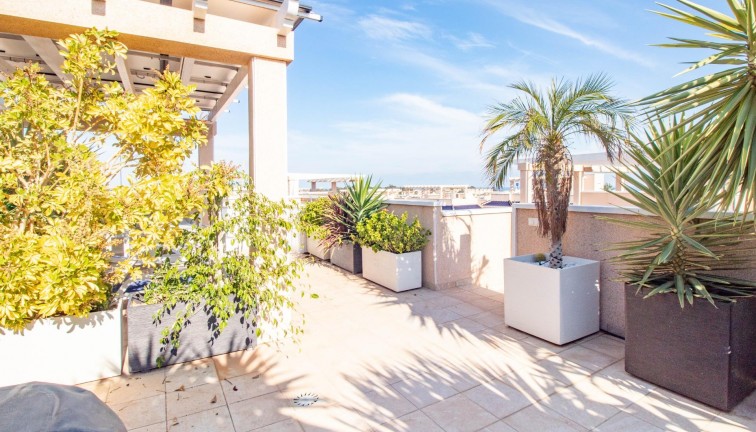 Reventa - Bungalow - Torrevieja - Punta Prima