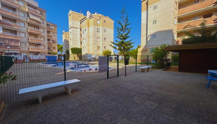 Resale - Apartment - Torrevieja