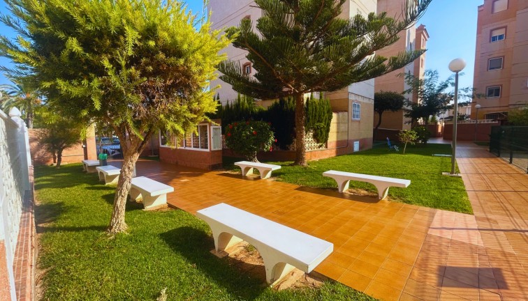 Resale - Apartment - Torrevieja