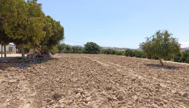 Resale - Finca - Rojales