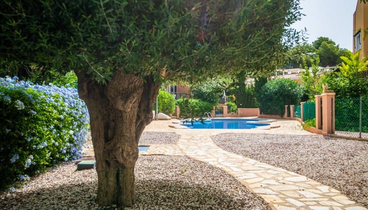 Reventa - Chalet - Torrevieja - Los Balcones