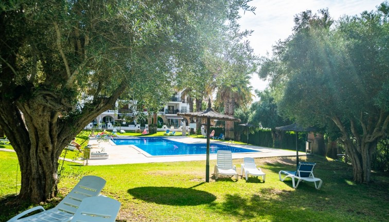 Reventa - Apartamento / piso - Orihuela - Villamartín