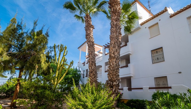 Reventa - Apartamento / piso - Orihuela - Villamartín