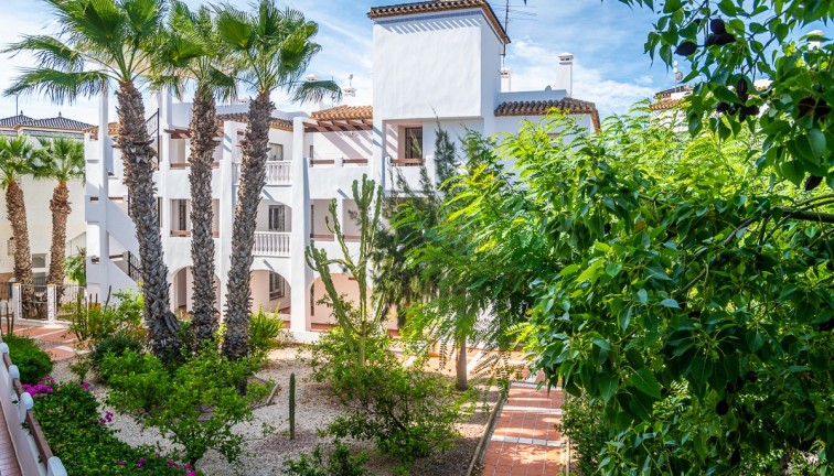 Reventa - Apartamento / piso - Orihuela - Villamartín