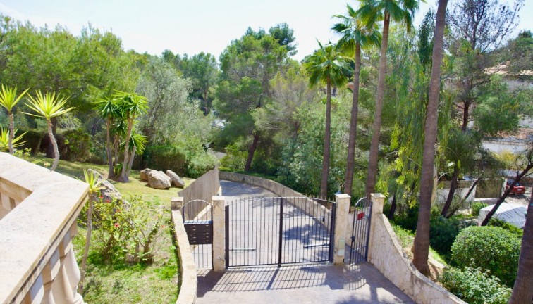 Reventa - Apartamento - Apartamento Planta Baja - Portals Nous - Calvià