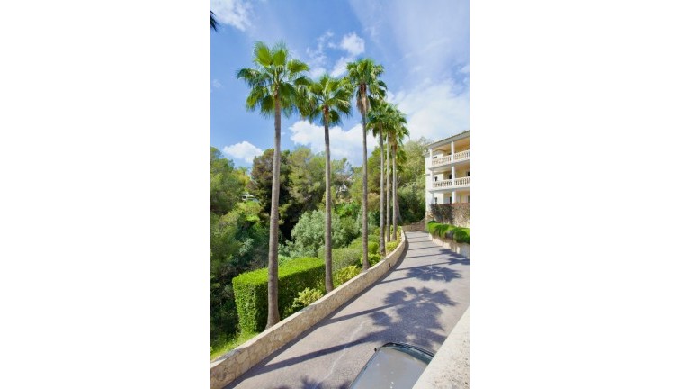 Reventa - Apartamento - Apartamento Planta Baja - Portals Nous - Calvià