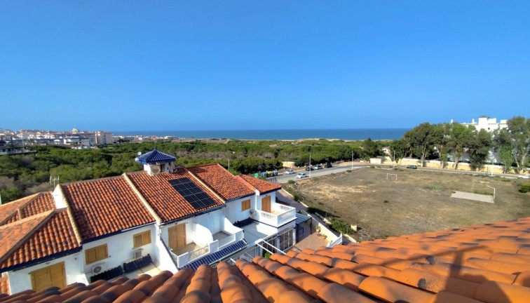 Återförsäljning - Studio - Torrevieja