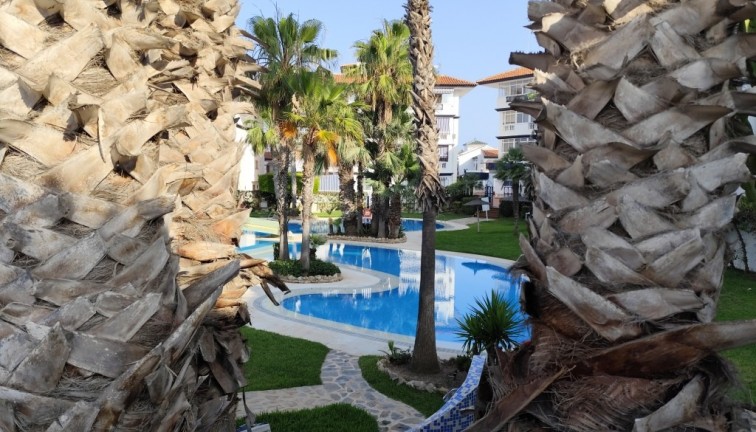 Återförsäljning - Studio - Torrevieja