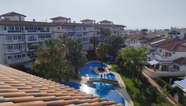 Återförsäljning - Studio - Torrevieja