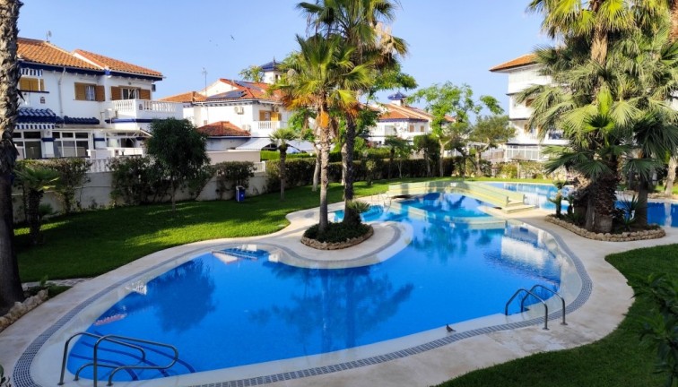 Återförsäljning - Studio - Torrevieja