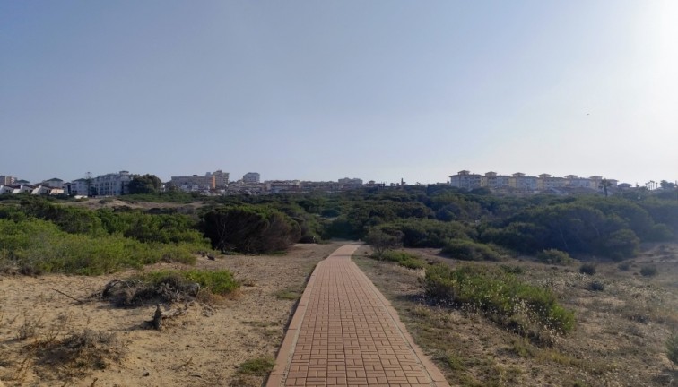 Återförsäljning - Studio - Torrevieja