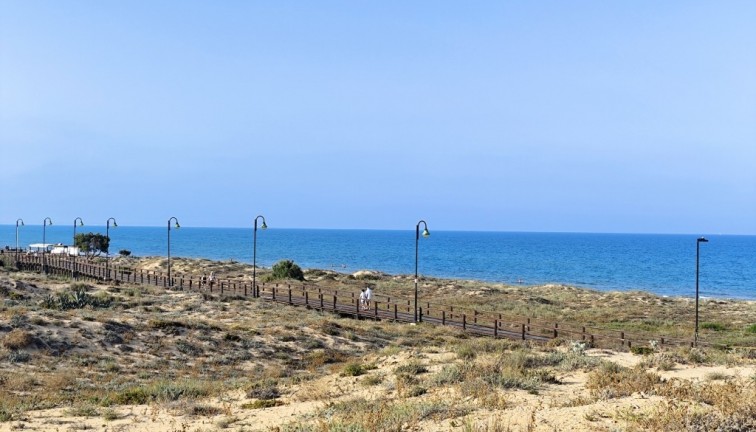 Återförsäljning - Studio - Torrevieja