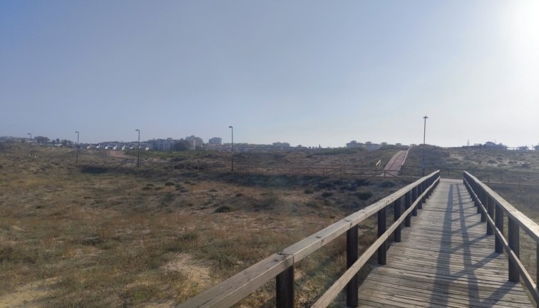 Återförsäljning - Studio - Torrevieja