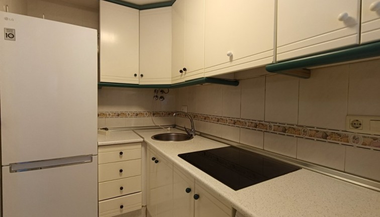 Återförsäljning - Studio - Torrevieja