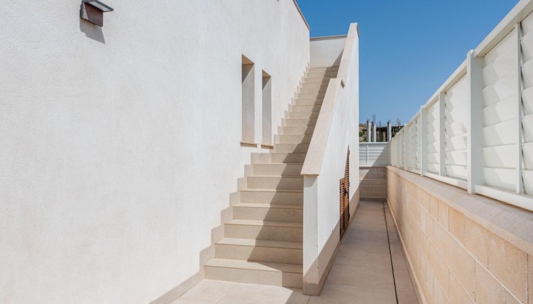 Obra nueva - Chalet - Vera - Vera Playa