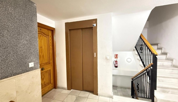 Återförsäljning - Lägenhet - Torrevieja