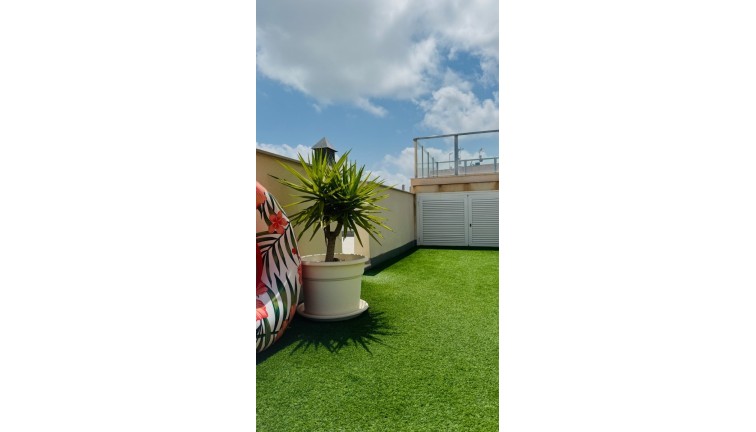 Reventa - Apartamento / piso - Torrevieja - Playa del Cura