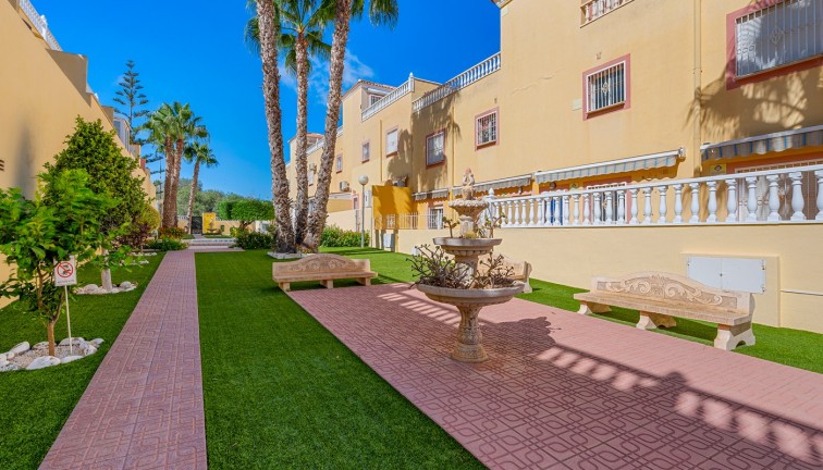 Resale - Apartment - San Miguel de Salinas