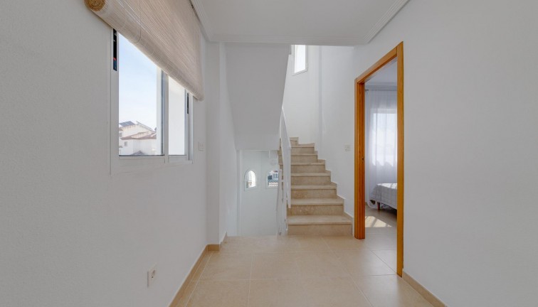 Obra nueva - Chalet - San Fulgencio - El Oasis