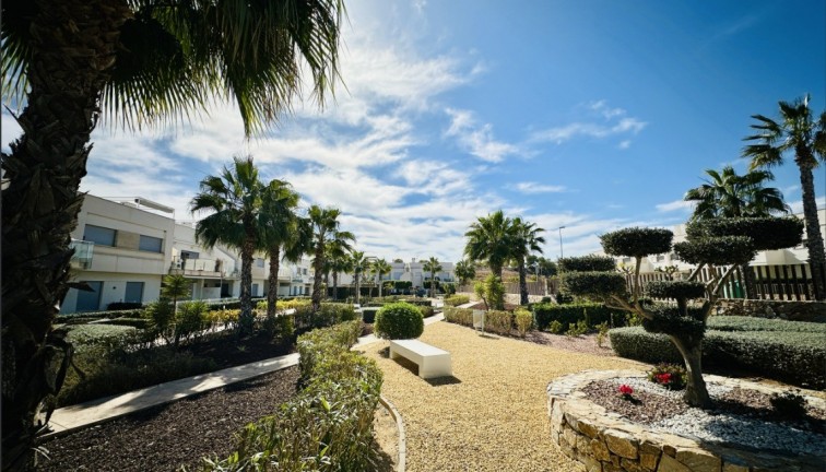 Reventa - Apartamento / piso - Vistabella Golf