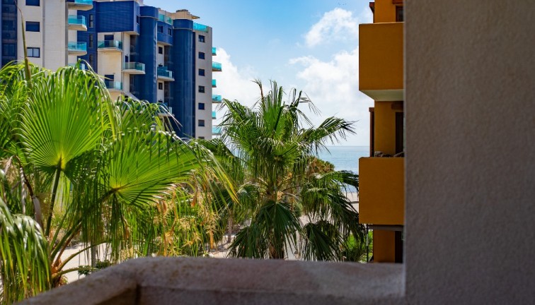 Reventa - Apartamento / piso - Punta Prima