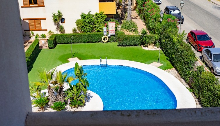 Reventa - Apartamento / piso - Punta Prima