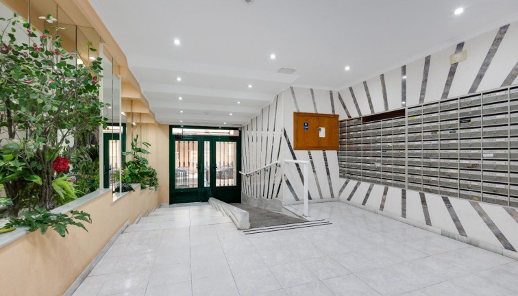 Återförsäljning - Lägenhet - Torrevieja - Acequion