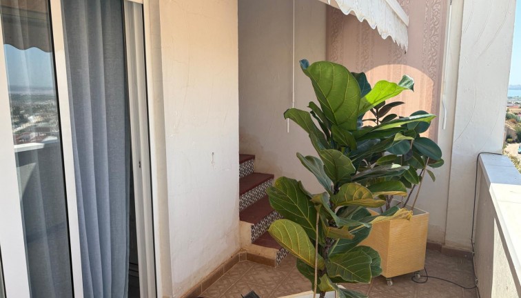 Jälleenmyynti - Paritalo/Rivitalo - Ciudad quesada - Ciudad Quesada