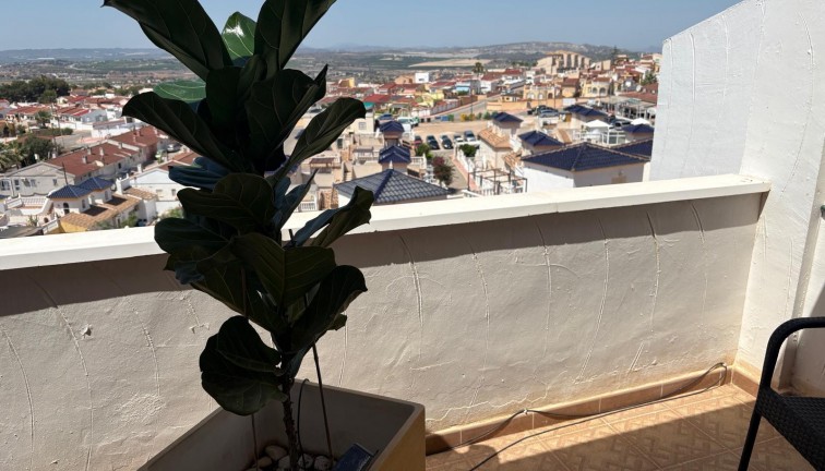 Jälleenmyynti - Paritalo/Rivitalo - Ciudad quesada - Ciudad Quesada