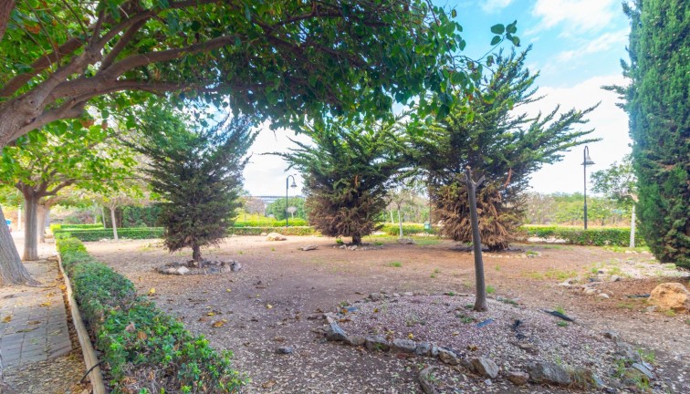 Återförsäljning -  Bostad - Översta våningen  - Torrevieja - Acequion