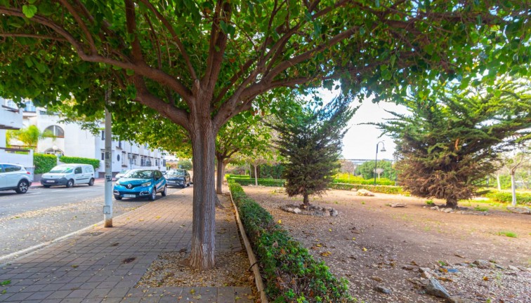 Återförsäljning -  Bostad - Översta våningen  - Torrevieja - Acequion