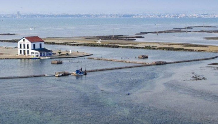 Uudistuotanto - Erillistalo - San Pedro del Pinatar