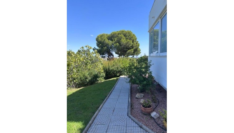 Resale - Apartment - Los Dolses