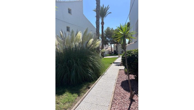 Resale - Apartment - Los Dolses