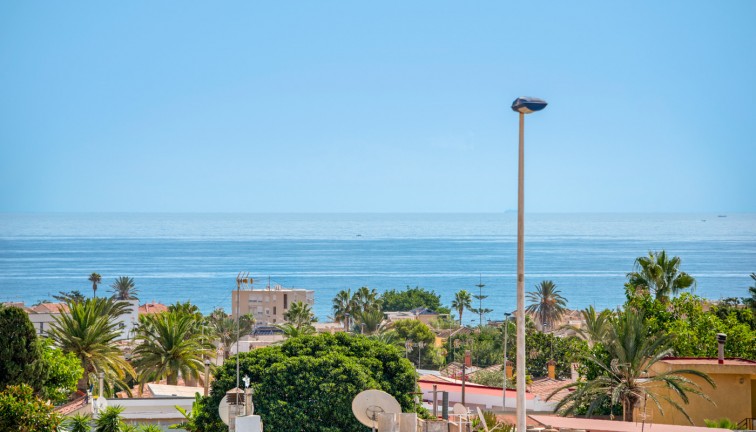 Jälleenmyynti - Bungalow - Torrevieja