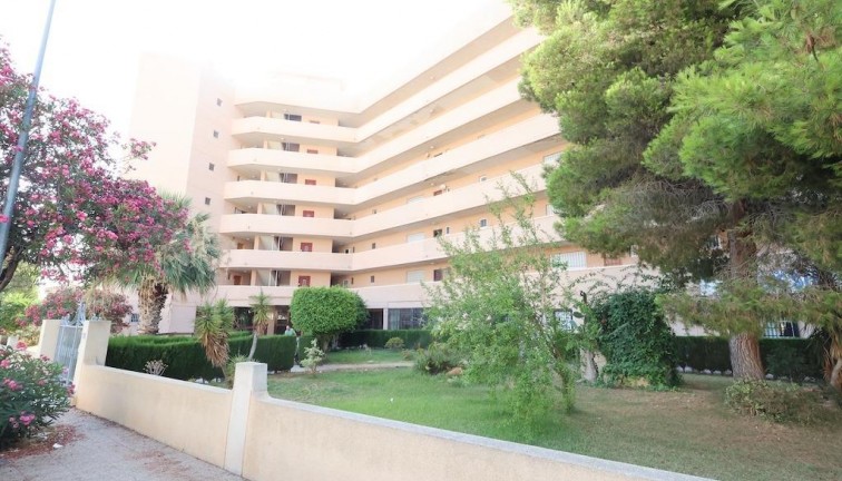 Resale - Commercial - Orihuela Costa - La Zenia