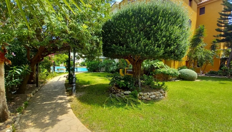 Återförsäljning - Lägenhet - Punta Prima