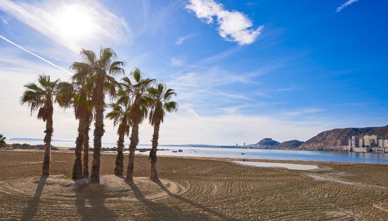 Uudistuotanto - Erillistalo - Els Poblets - Partida Barranquets