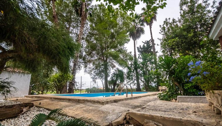 Återförsäljning - Finca - Orihuela - Orihuela Costa