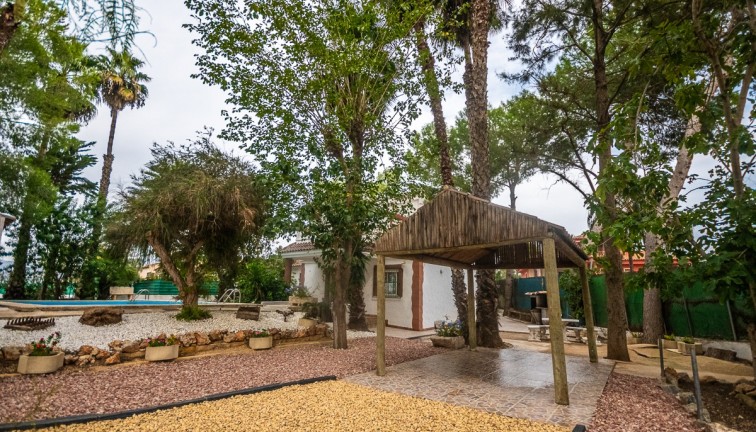 Återförsäljning - Finca - Orihuela - Orihuela Costa