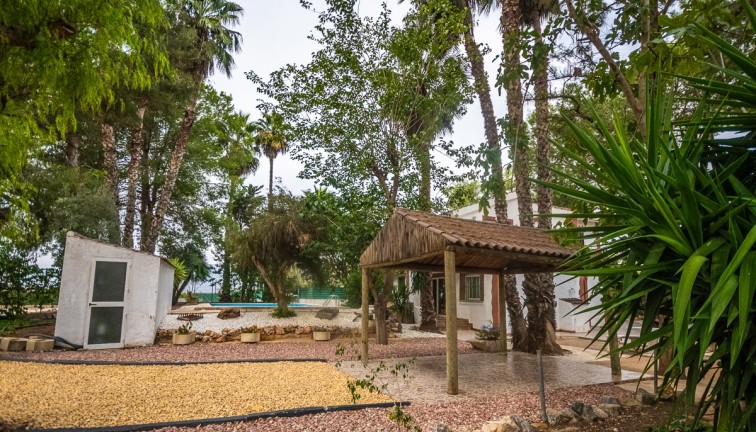 Återförsäljning - Finca - Orihuela - Orihuela Costa