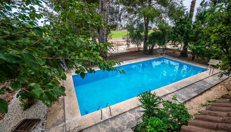 Återförsäljning - Finca - Orihuela - Orihuela Costa